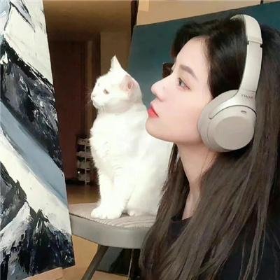 伪情半生